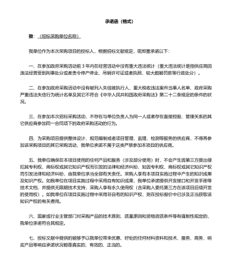 2025年招投标项目承诺函范本