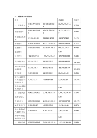 2025年利润表分析案例