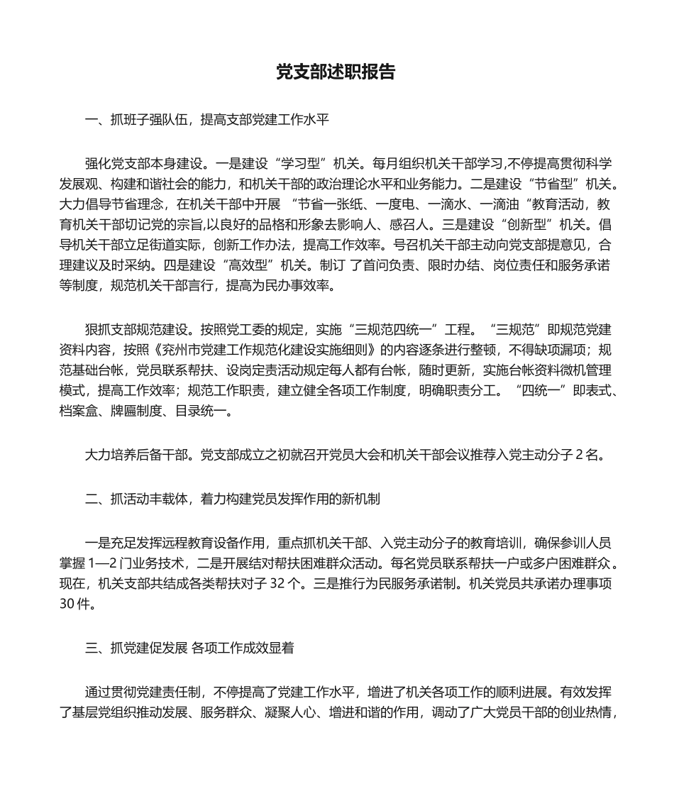 2025年党支部述职报告_第1页