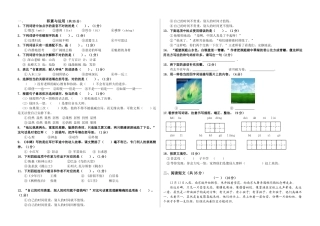 2025年五年级语文国测模拟试卷