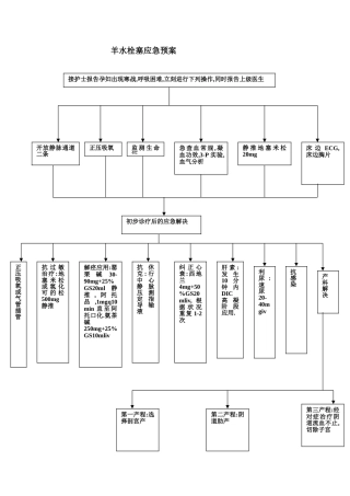 2025年羊水栓塞应急预案