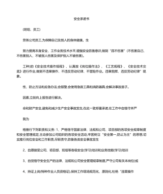 2025年安全承诺书