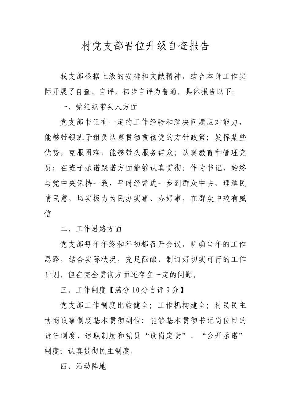 2025年自查自评报告_第1页