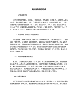 2025年财务情况说明书