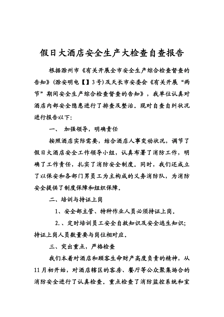 2025年安全自查报告_第1页