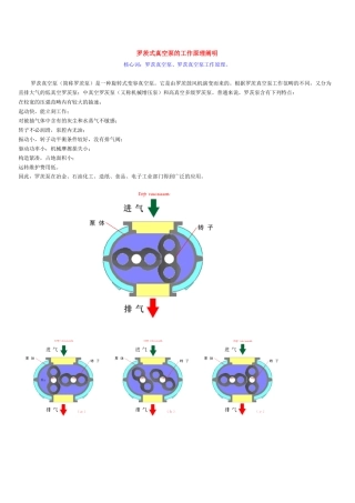 2025年罗茨式真空泵的工作原理说明