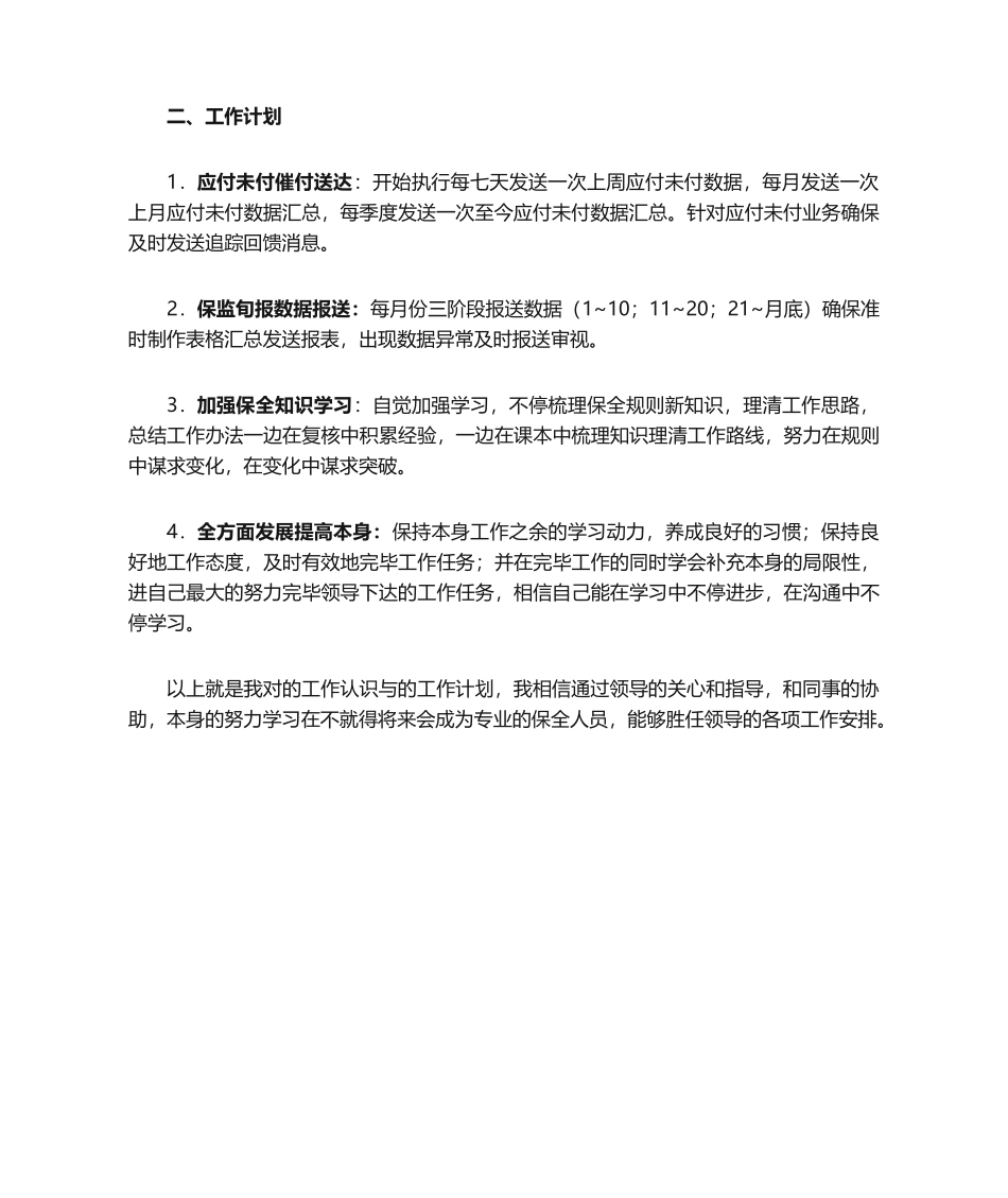 2025年保险保全年终总结_第2页