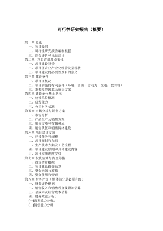 2025年可行性研究报告提纲