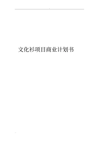 文化衫项目商业计划书