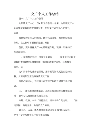 文广个人工作总结