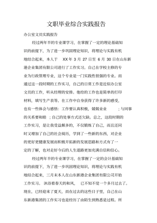 文职毕业综合实践报告
