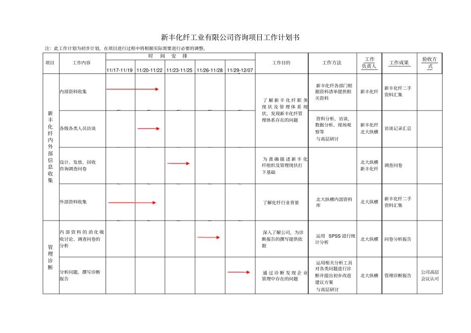 新丰化纤咨询项目工作计划_第1页