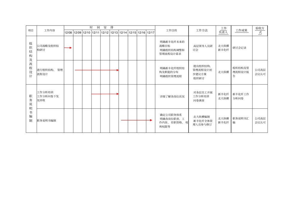 新丰化纤咨询项目工作计划_第2页