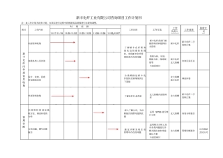 新丰化纤咨询项目工作计划