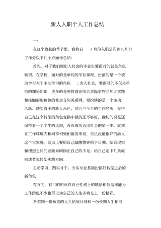 新人入职个人工作总结