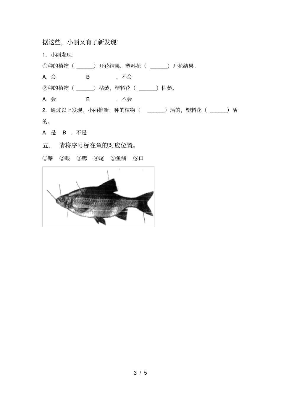 新人教版一年级科学上册期末考试题免费_第3页