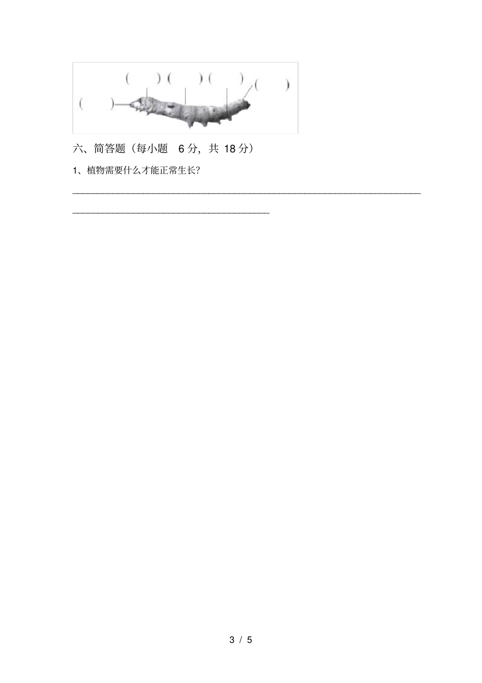 新人教版三年级科学上册期中测试卷一套_第3页