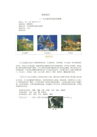 新人教版初中生物动物调查报告