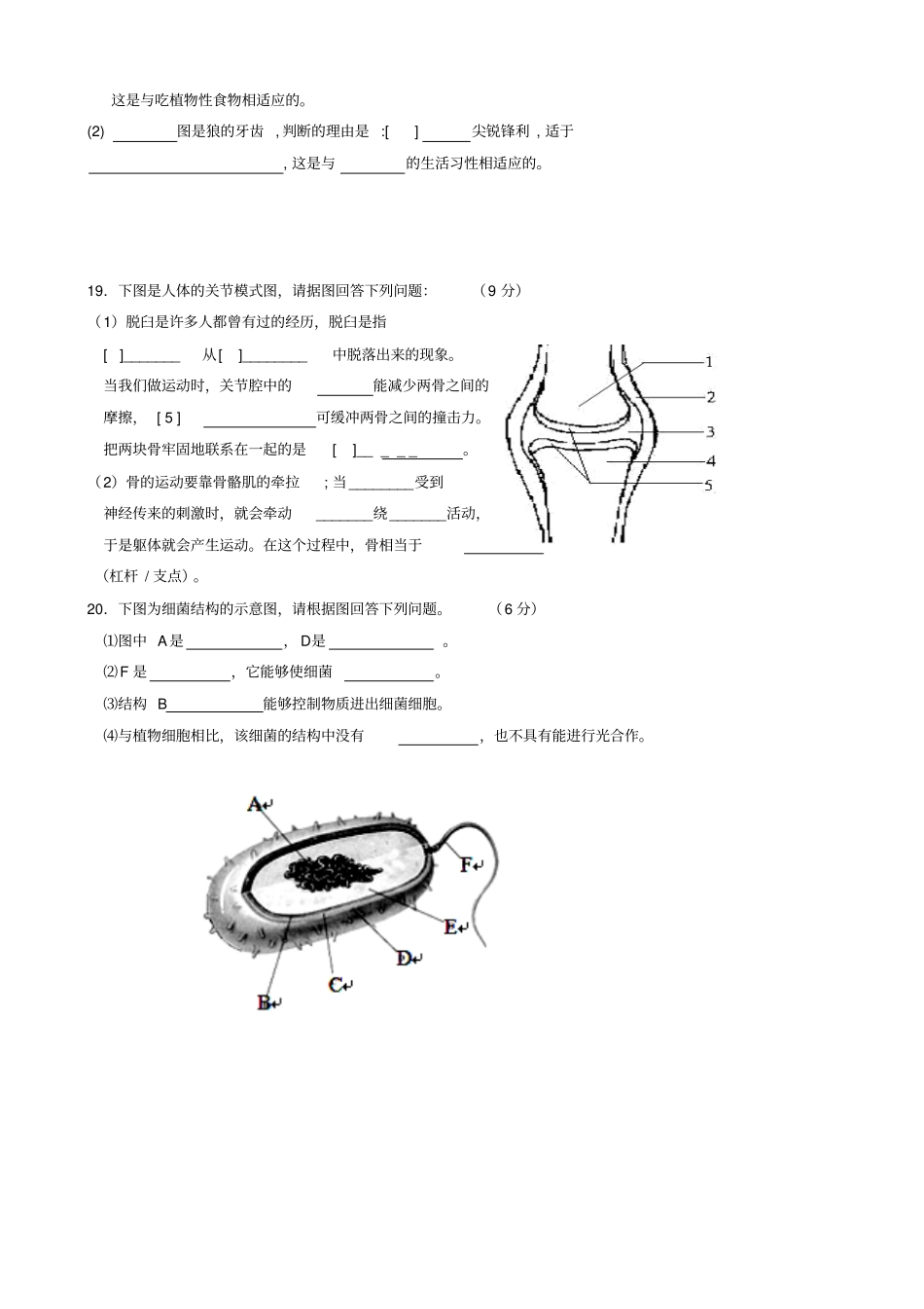 新人教版地理八级上学期期末模拟试题1_第3页