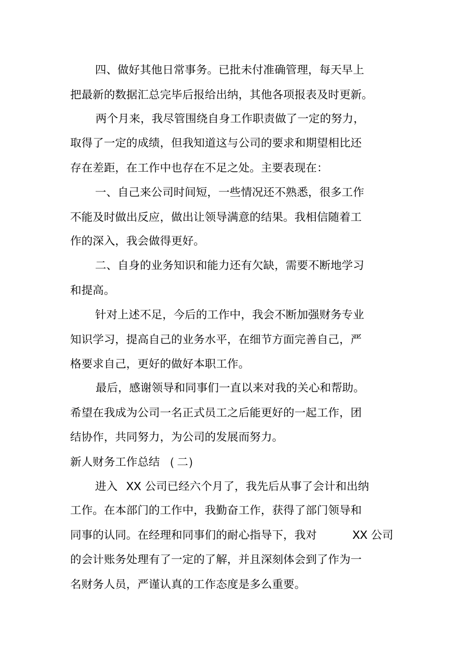 新人财务工作总结_第2页
