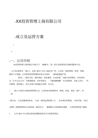 新公司成立运营方案