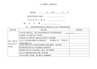 新化工生产主要负责人安全生产履职情况报告表