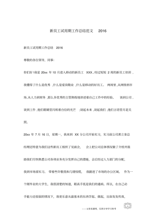 新员工试用期工作总结范文2016
