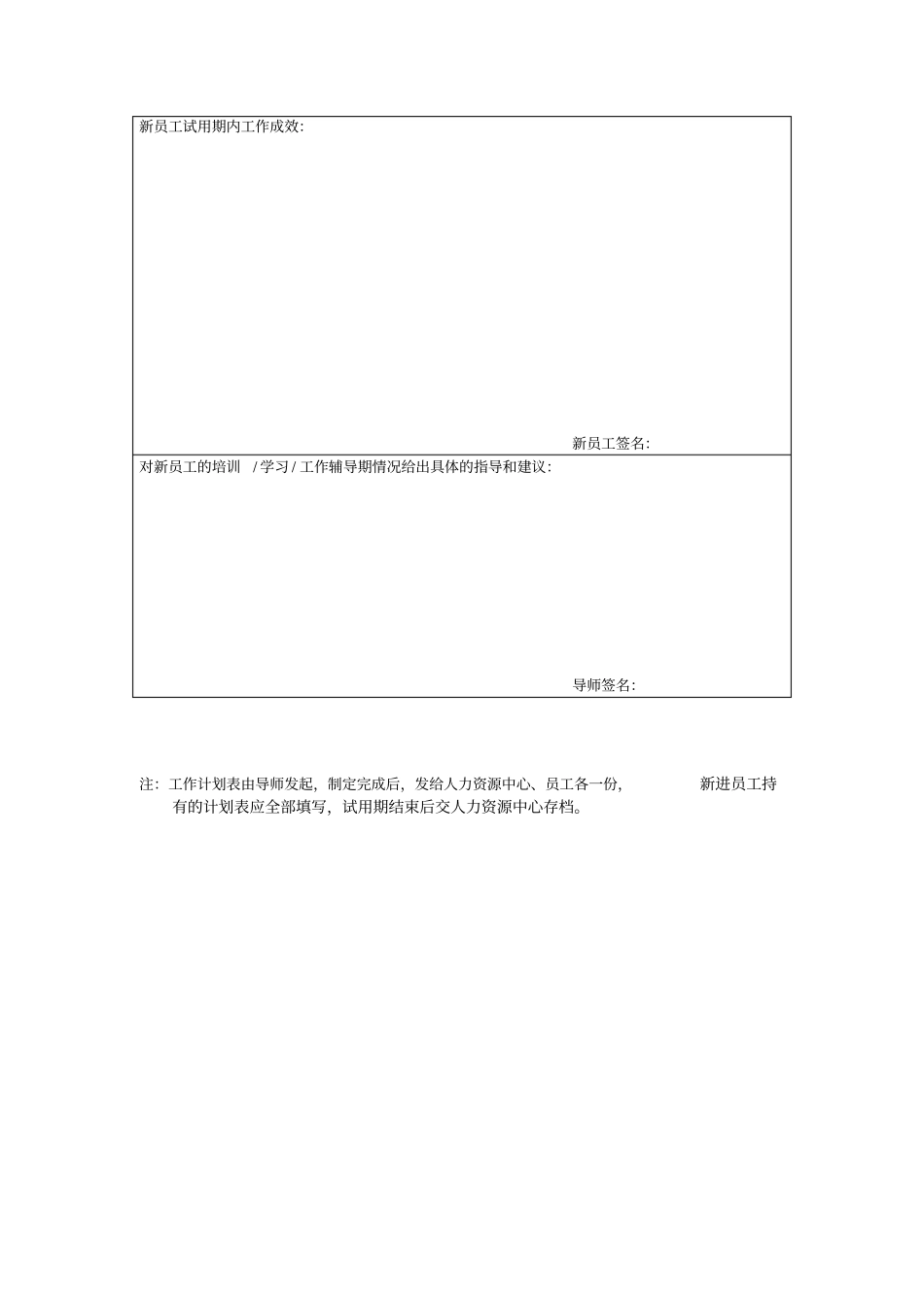 新员工试用期工作计划表范本模板A4大小打印_第2页