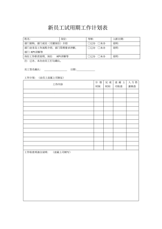 新员工试用期工作计划表范本模板A4大小打印
