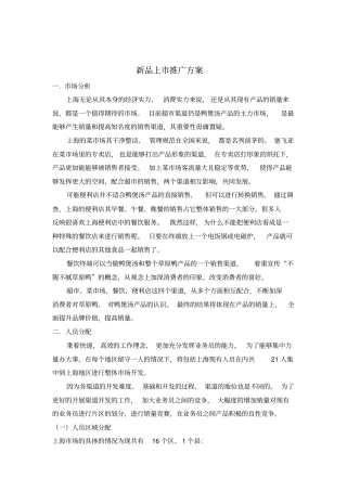 新品上推广方案措施