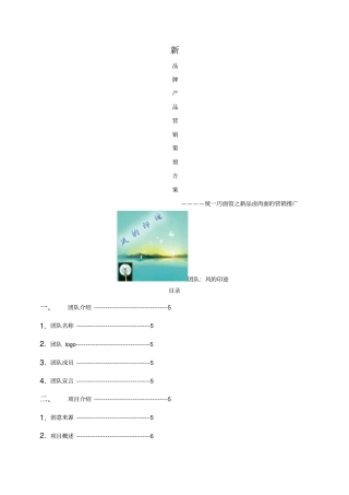 新品牌产品营销策划方案
