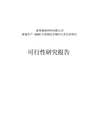 新型墙体材料可行性研究报告