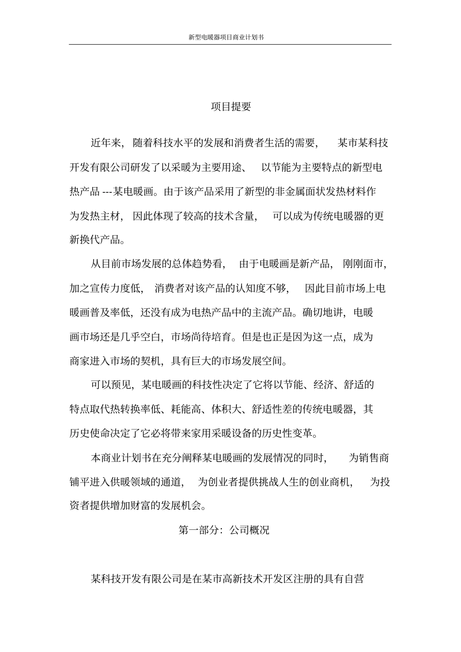 新型电暖器项目商业计划书_第3页