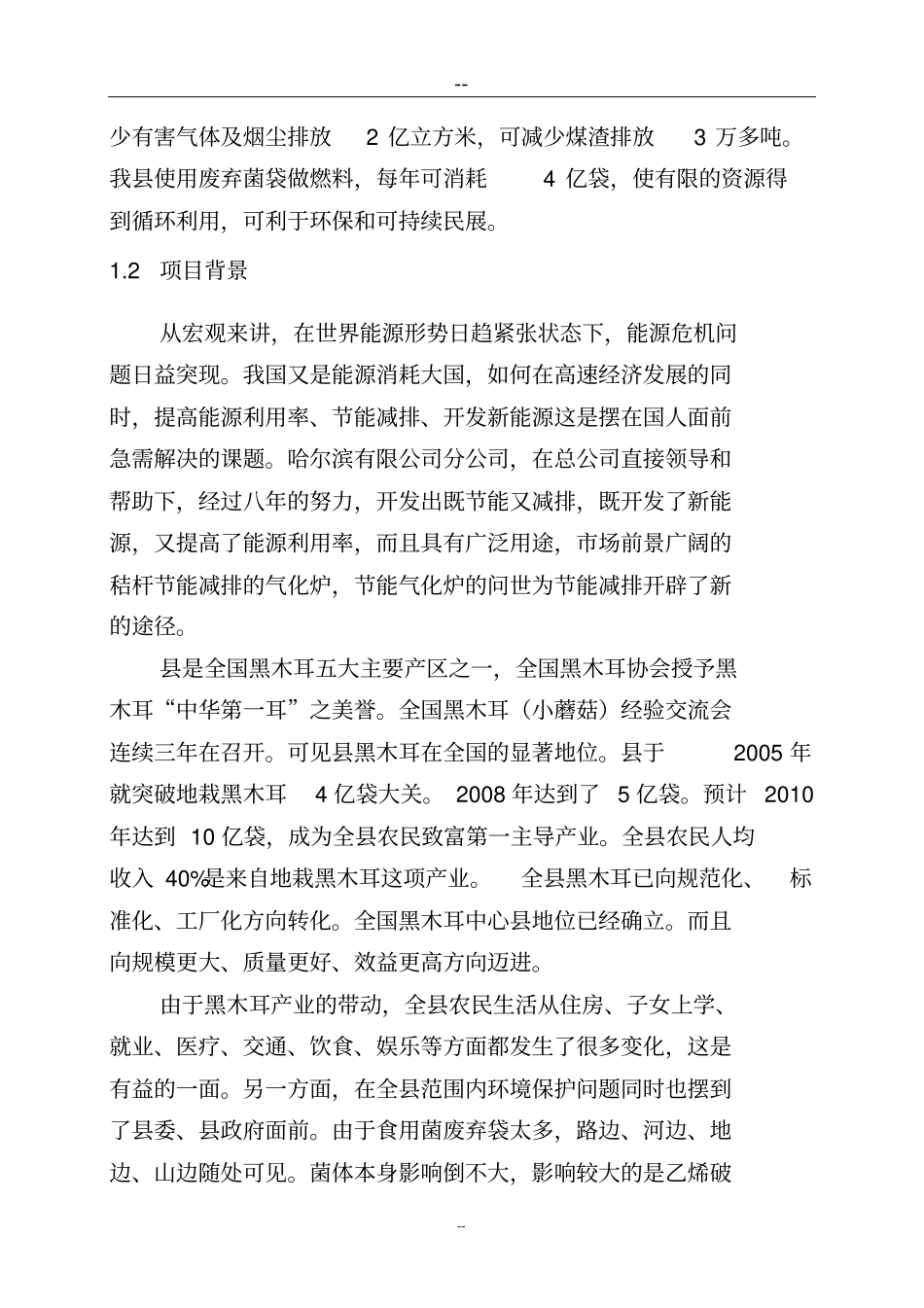 新型节能环保燃料推广应用示范基地建设项目可行性研究报告_第2页