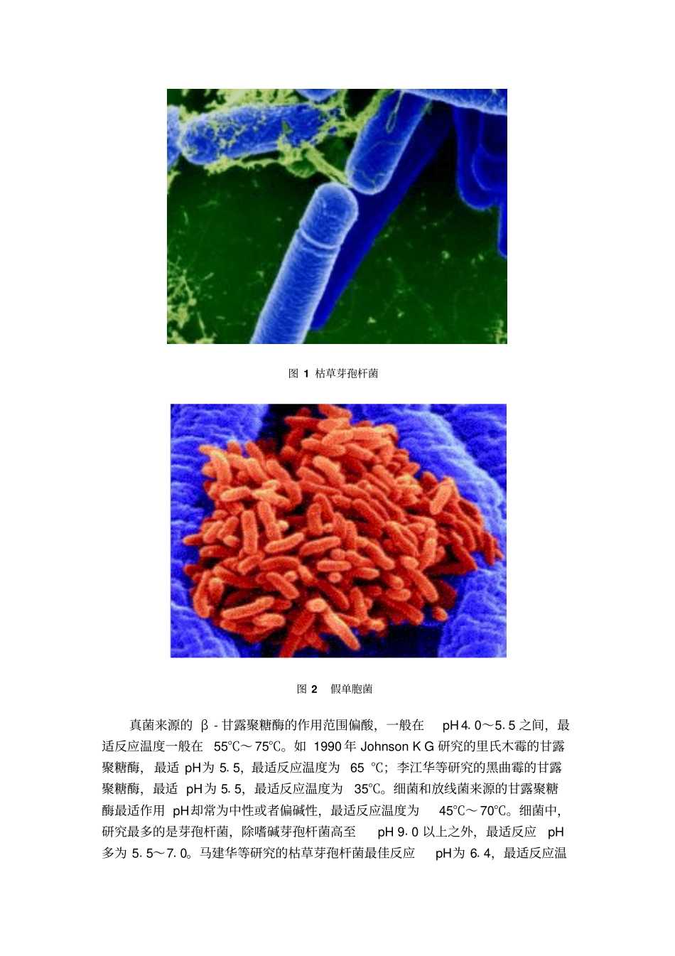 新型酶制剂汇总_第3页