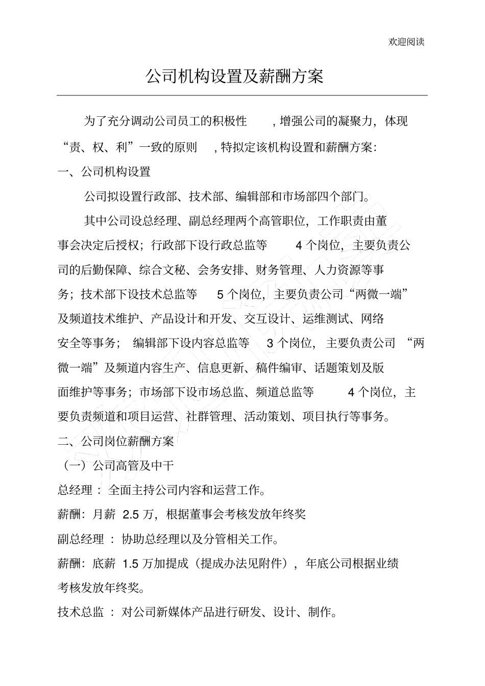 新媒体公司机构设置、薪酬方案及激励机制_第1页