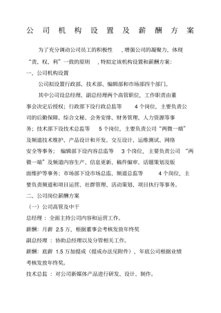新媒体公司机构设置薪酬方案及激励机制