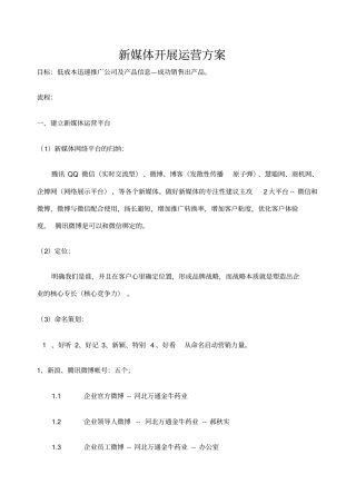 新媒体开展运营方案