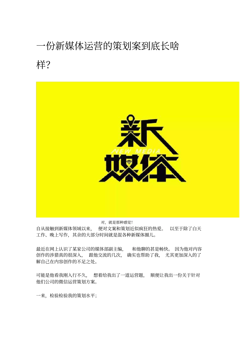 新媒体运营的策划案32636_第1页