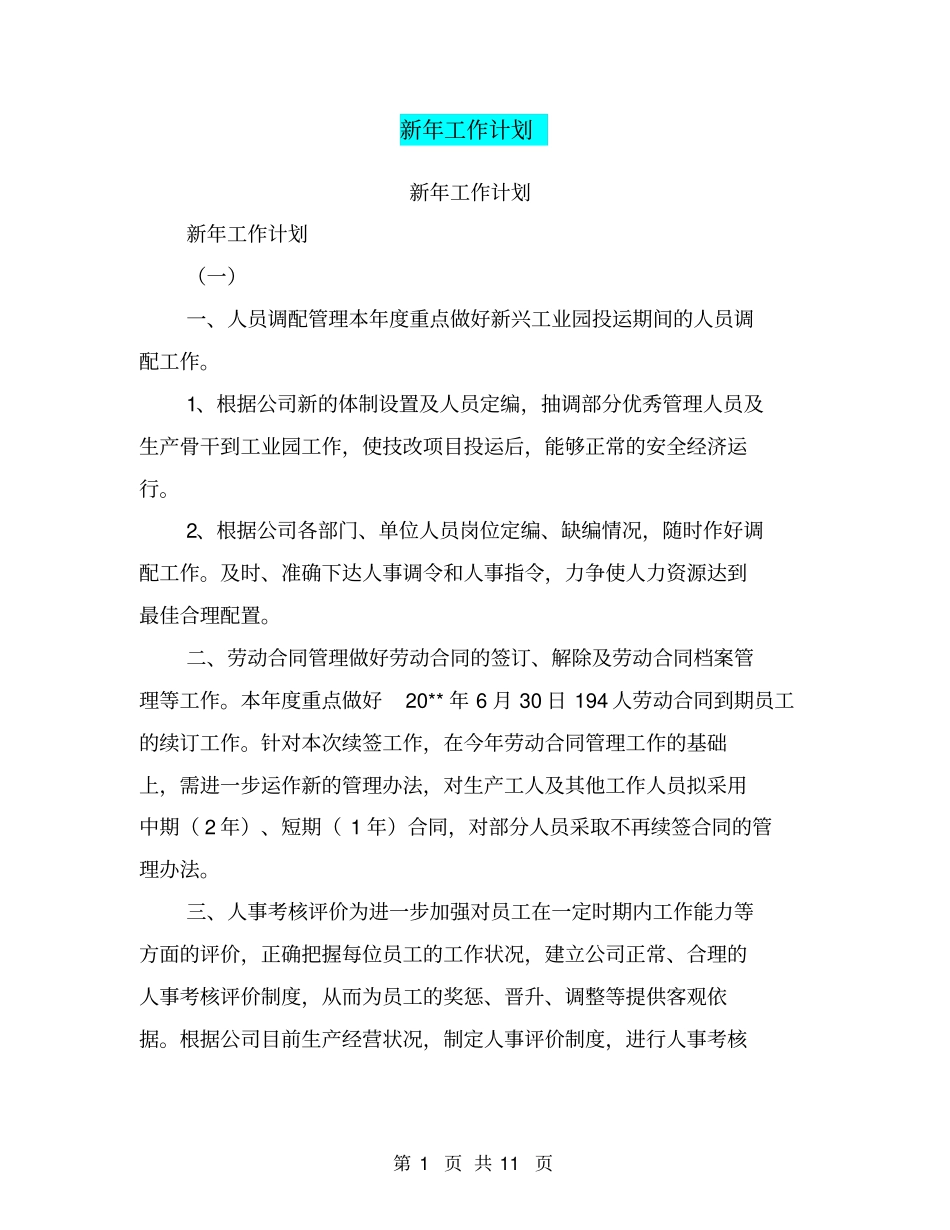 新年工作计划【可编辑版】_第1页