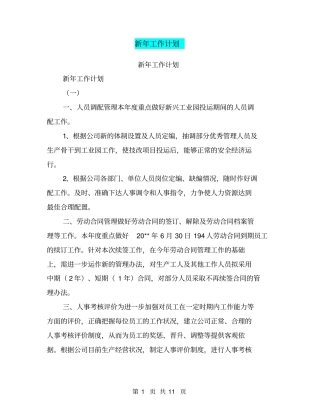 新年工作计划【可编辑版】