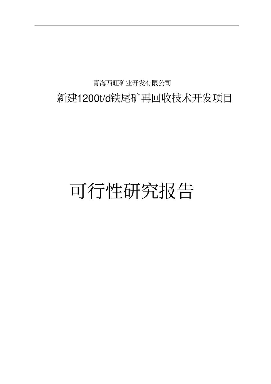 新建1200td铁尾矿再回收技术开发项目可行性研究报告_第1页