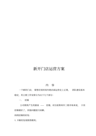新开店面运营方案