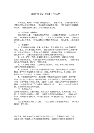 新教师见习期间工作计划总结