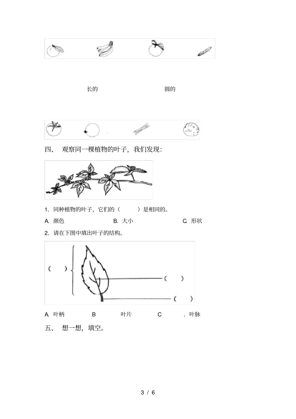 新教科版一年级科学上册期末考试题及答案【免费】_第3页