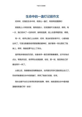 生命中的一盏灯记叙作文