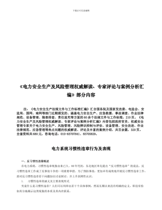 电力安全生产及风险管理权威解读.
