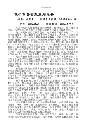 电子商务实践总结报告