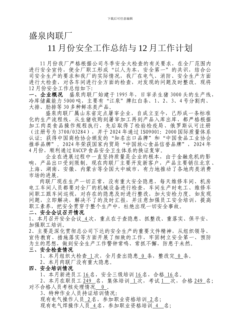 电工11月安全总结与12月安全工作计划._第1页