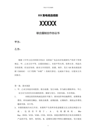 电视剧联合摄制合同